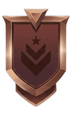 Bronze rank badge